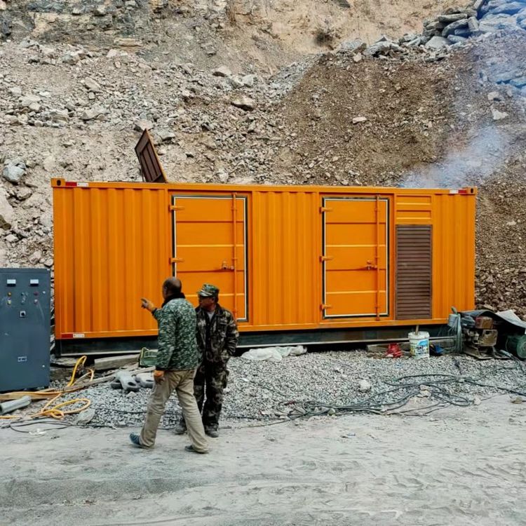 奉节如何选择适合自己的 800KW 柴油发电机组？
